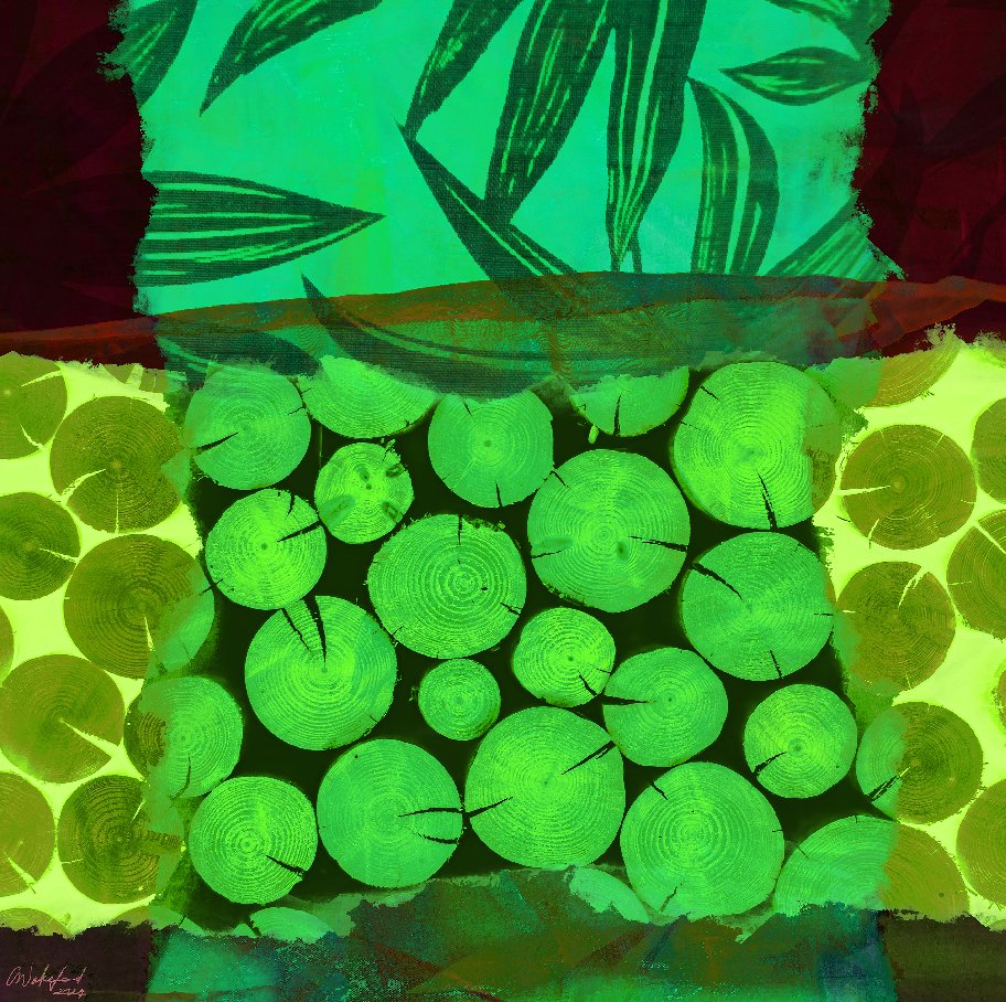 Carmen Wakeford - Renewal